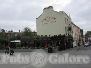 Picture of The Gipsy Moth