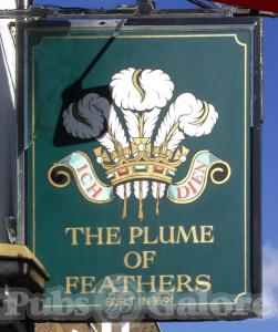 Picture of Plume Of Feathers