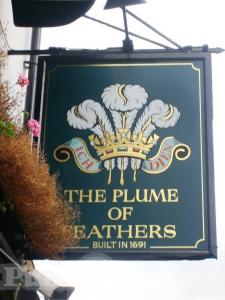 Picture of The Plume of Feathers