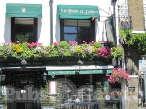 Picture of Plume Of Feathers