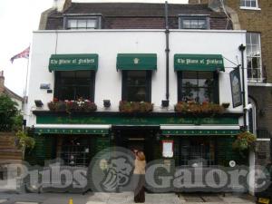 Picture of Plume Of Feathers