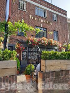 Picture of The Pilgrim