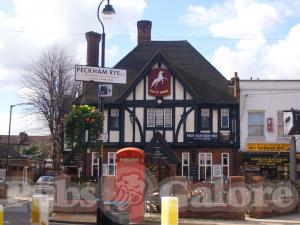 Picture of White Horse