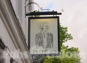 Picture of Albert Arms