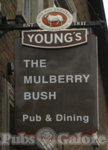 Picture of The Mulberry Bush