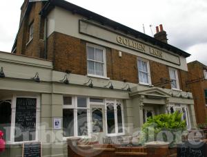Picture of Golden Lion