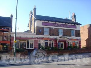 Picture of Golden Lion