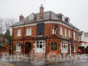 Picture of The Bull