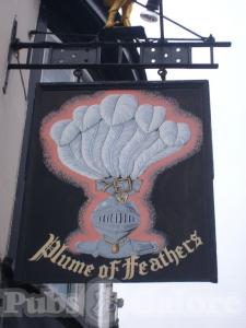 Picture of Plume Of Feathers