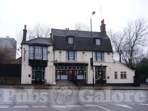 Picture of Plume Of Feathers
