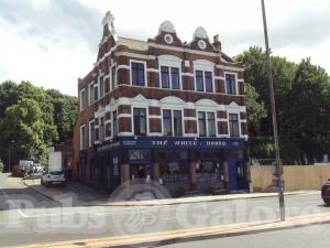 Picture of The White Horse