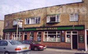 Picture of Bank Of Swans