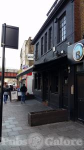 Picture of Fifty Five at the Oak
