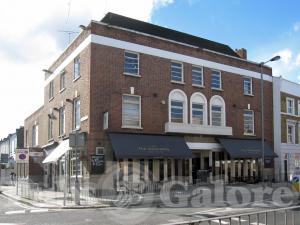 Picture of Cedar Tree