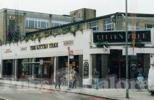 Picture of The Litten Tree
