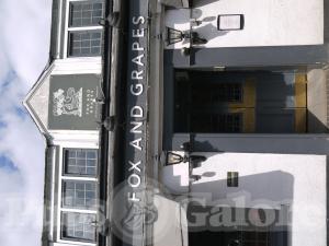 Picture of Fox & Grapes