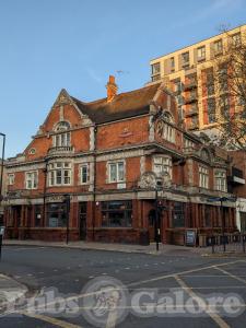 Picture of The Old Pack Horse