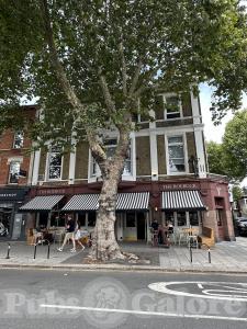 Picture of The Roebuck