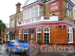 Picture of The Fox