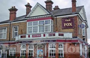 Picture of The Fox