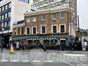 Picture of Prince Albert