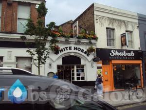 Picture of The White Horse