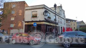 Picture of The Camel