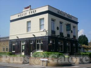 Picture of The Holly Tree