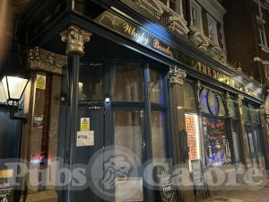 Picture of The Dolphin