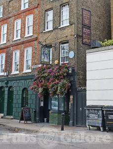 Picture of The Grapes