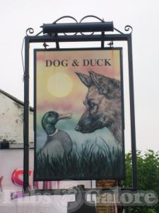 Picture of The Dog & Duck