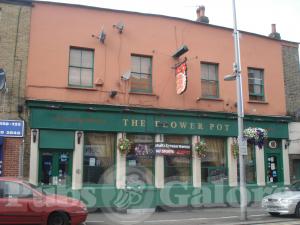 Picture of The Flower Pot