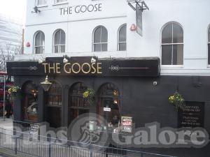Picture of The Goose