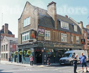 Picture of Duke of Wellington