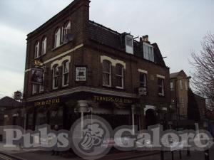 Picture of Turners Old Star