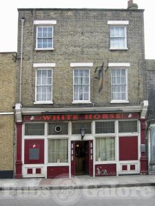 Picture of White Horse