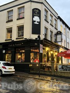 Picture of The Oak & Pastor