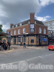 Picture of The White Horse