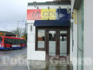 Picture of The Coconut Tree