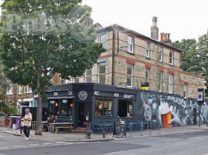 Picture of The Robin