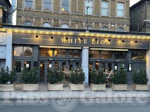 Picture of White Lion