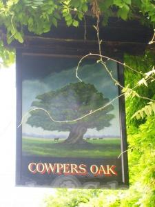 Picture of Cowpers Oak