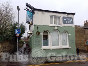 Picture of The Elm Tree