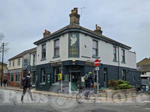 Picture of White Swan