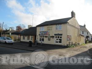 Picture of Bulls Head