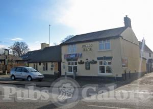 Picture of Bulls Head