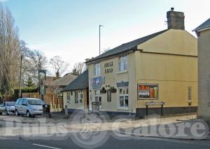 Picture of Bulls Head