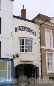 Picture of Falcon