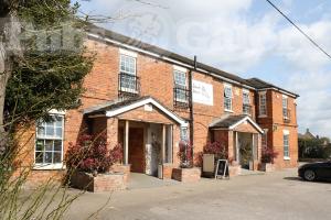 Picture of Black Horse