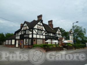 Picture of Stag & Hounds
